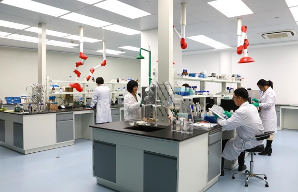 从2025年11月至12月的上新数据看